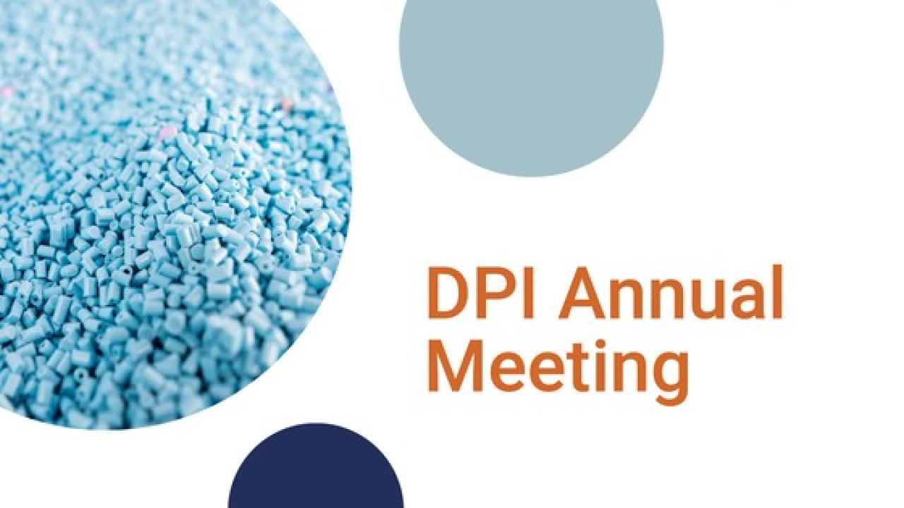 DPI Annual Meeting 2024